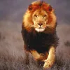el.kaser4