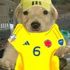 darly003_