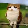yadier.efren.snch