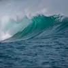 8_olas7