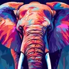 elefant631