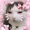 yuki_240zf
