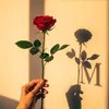 mandy_2074