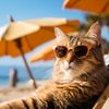 animals crazy videos