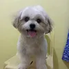 norie.escano