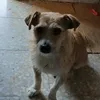 ivanu79