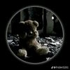 user5037131185601