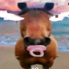 erik00xd2
