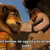 tomas.gonzales39