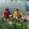 annhienfarmdongnai