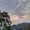 hng00491