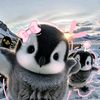 saki_raz