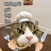 c.tng.l.tht.ho.ra