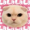 liaaaa_azaaa