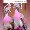 user3094532081112