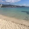 sicardot