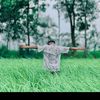 mdriaz.ahamed