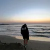 nu_sunt_zoldi