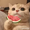 chi.quynh700