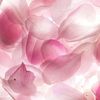 lovelyuser18372