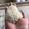 برنجی کوردی ئاکرئ
