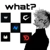 mr_policeez