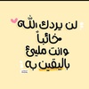 amalhamdy56