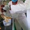 proff.baraza