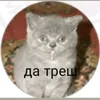 tema_emae2