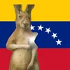 anahisvillarreal8