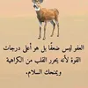 user3206510607451