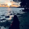 syfaaa28_