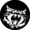 meow6176