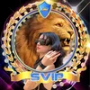 newworld_team_rosalia_