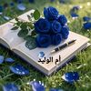 bayan.moghrapi