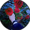 user20260651688712