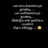 user4861015055986suba