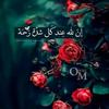 webaqy_alamal