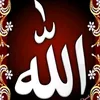 user87668453162056