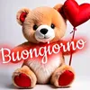 pazzo.vero
