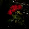 www.tiktok.comnazli19