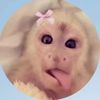 hailee_388