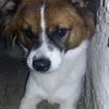 ele_nanoo_