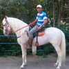 carlos.oliveira922