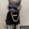btoosaer
