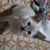sam.t.k_123