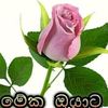 amal.chathuranga