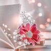 dalia.soliman6