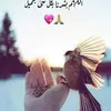 user87227048663943