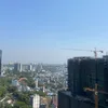 tinhtykizlf